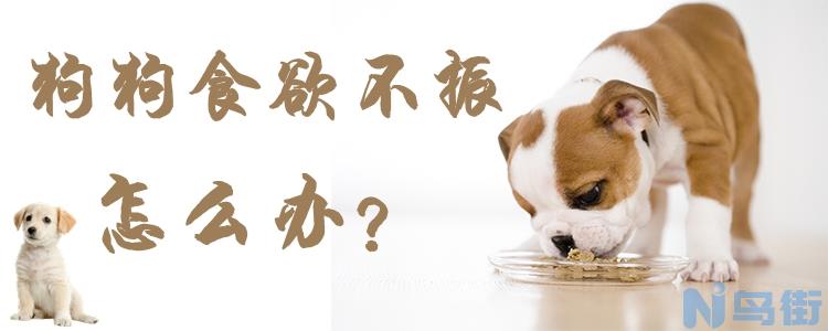 狗狗食欲不振怎么办？