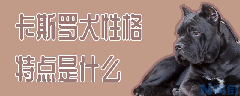 卡斯罗犬性格特点是什么？