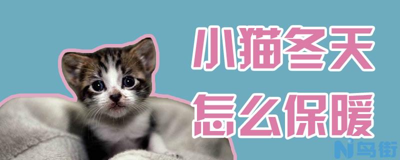 小猫冬天怎么保暖？