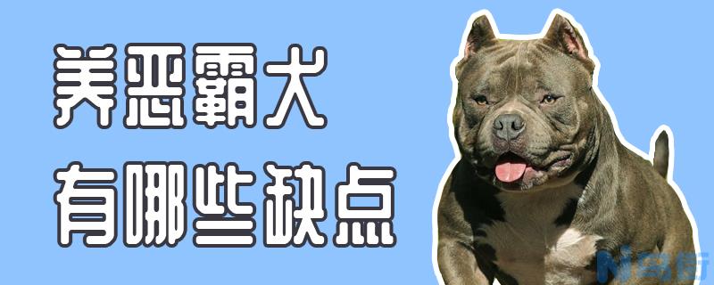 养恶霸犬有哪些缺点？