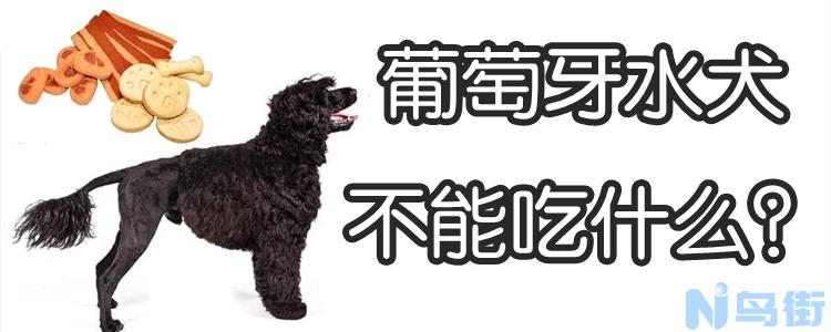 葡萄牙水犬不能吃什么？