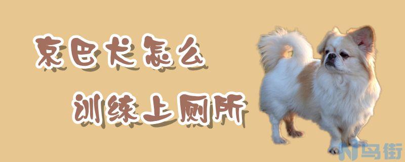 京巴犬怎么训练上厕所？