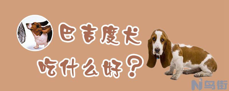 巴吉度犬吃什么好？