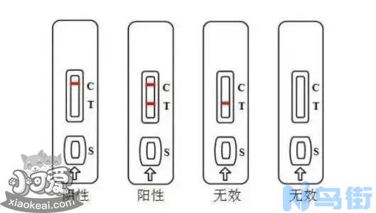 狗得了细小是什么症状？