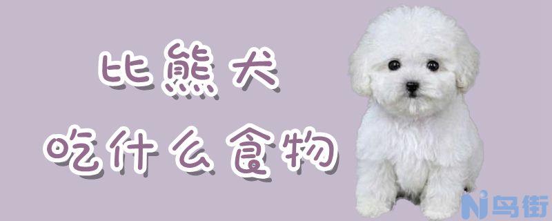 比熊犬吃什么食物？