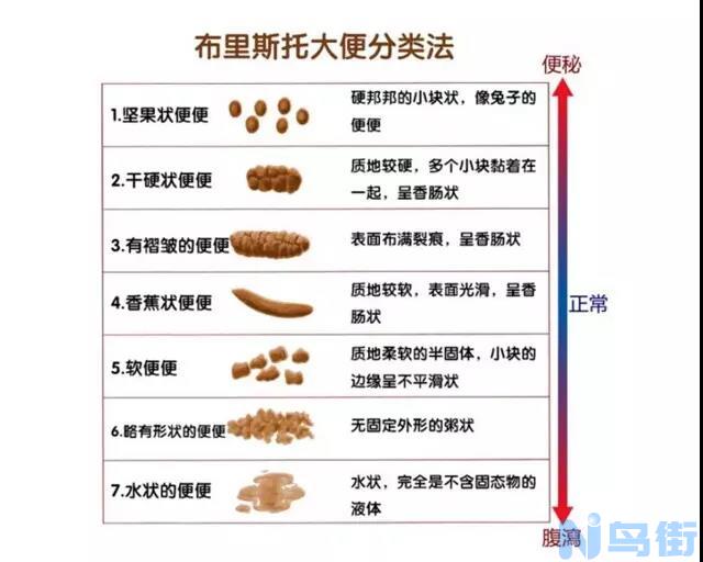 狗狗拉稀是什么原因？