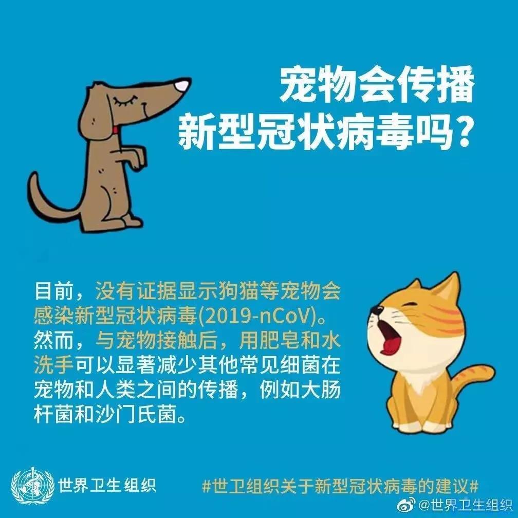 武汉病毒会传染猫狗吗？