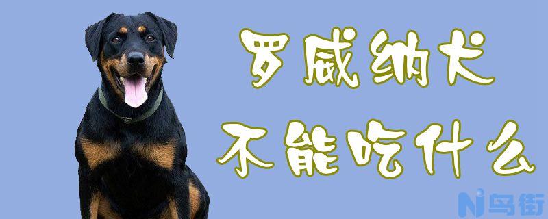 罗威纳犬不能吃什么？