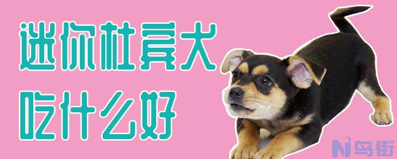 迷你杜宾犬吃什么好？