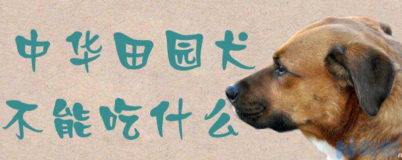 中华田园犬不能吃什么？