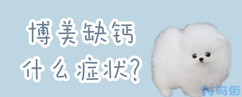 博美缺钙什么症状？