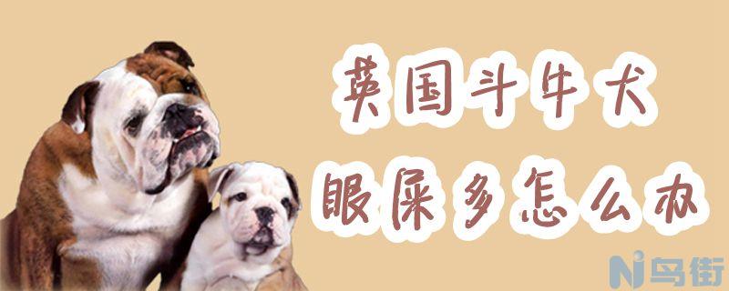 英国斗牛犬眼屎多怎么办？