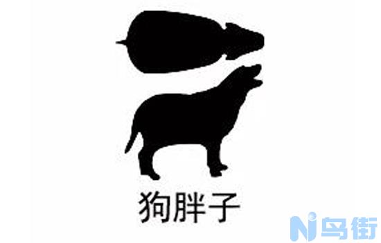 大丹犬怎么养好？