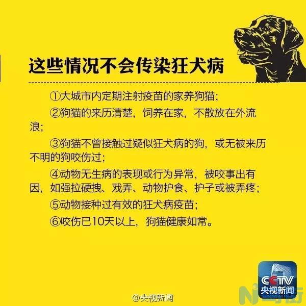 家里的狗咬了会得狂犬病吗？