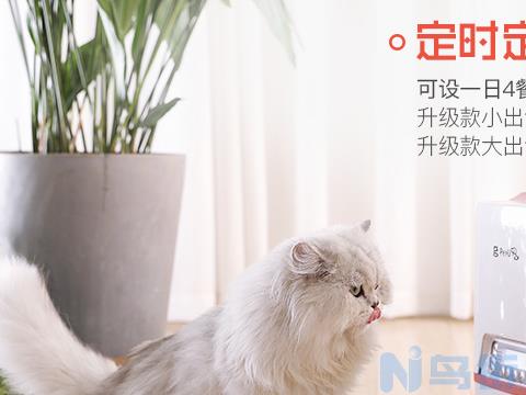 自动喂食器对猫好吗？