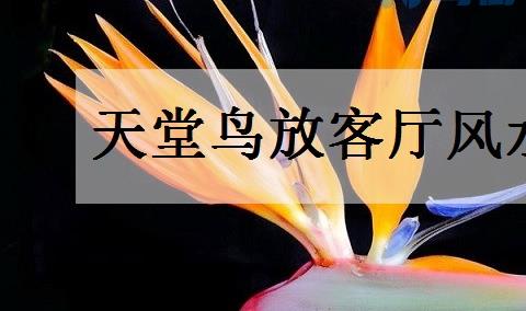 天堂鸟放客厅风水好吗？