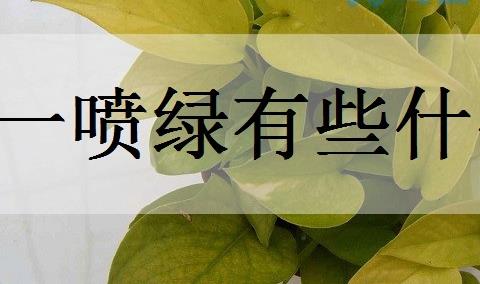 一喷绿有些什么效果？