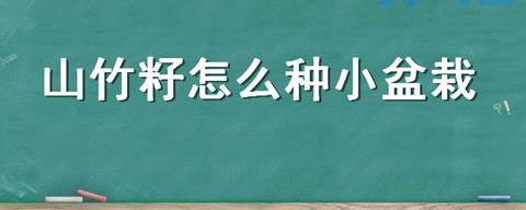 山竹籽怎么种小盆栽？