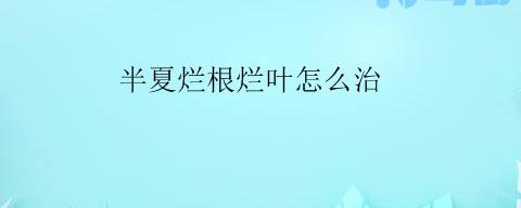 半夏烂根烂叶怎么治？