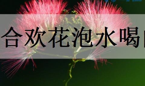 合欢花泡水喝的害处有哪些？