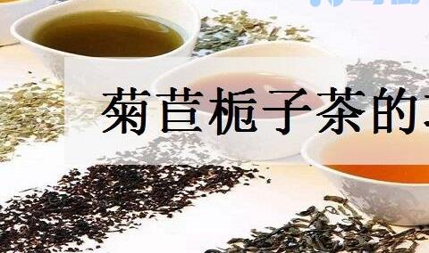 菊苣栀子茶的功效有哪些？