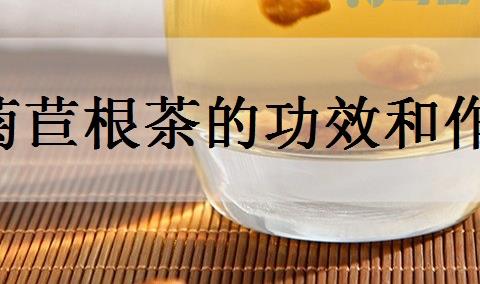 菊苣根茶的功效和作用有哪些？