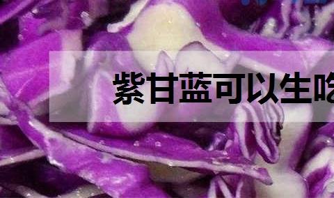 紫甘蓝可以生吃吗 有什么作用与功效？