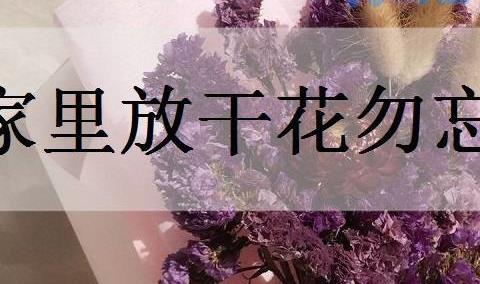 家里放干花勿忘我好吗？