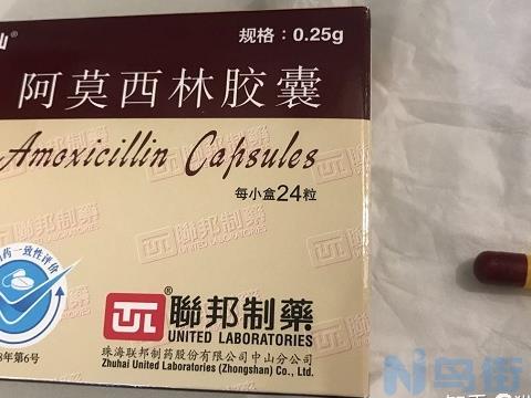 6斤猫吃阿莫西林的剂量？