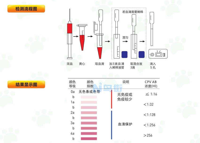 犬瘟停针多久后可以测试抗体？