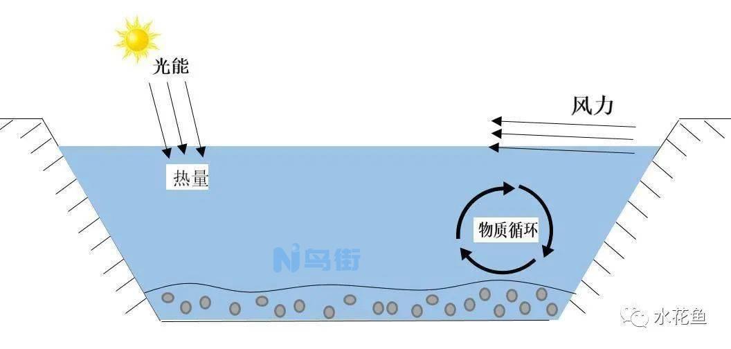 水质差或水温骤变