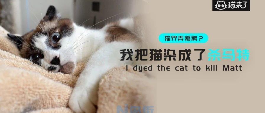 猫舔了洁尔阴有毒吗？