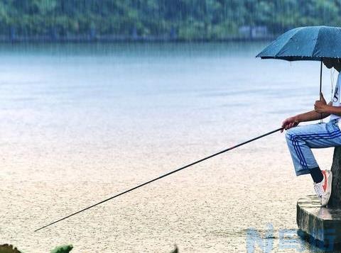 早春降温下雨怎么钓鱼