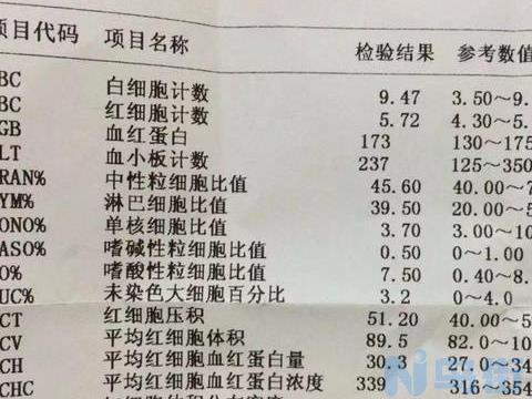 狗的慢性病可不可以检查出来？