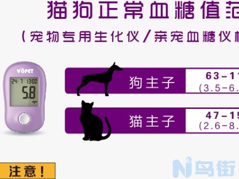 猫低血糖的原因？