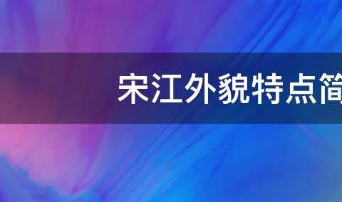 金丝熊和虎纹熊哪个性格温顺？