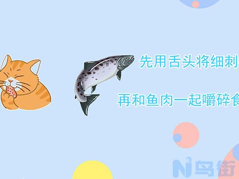 猫会被牛肉干卡喉咙吗？