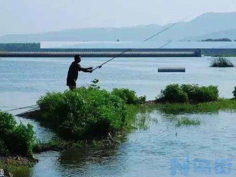 清明后钓鱼钓深还是钓浅？