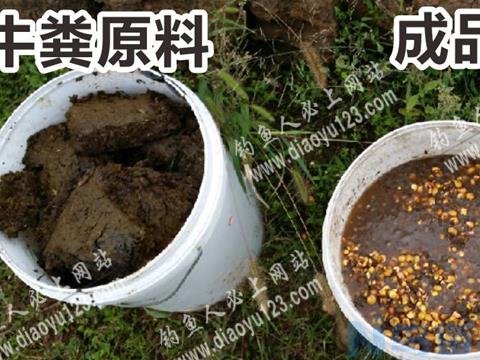 野钓马口鱼用什么窝料