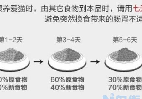 换猫粮会引起传腹吗？