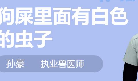 狗狗拉屎有白色的虫子怎么回事？