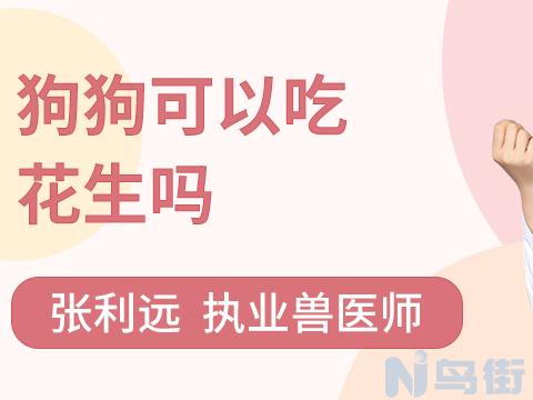 狗狗可以吃青枣子吗？