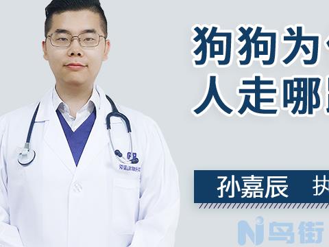 狗狗一碰就叫好像很疼没有精神？