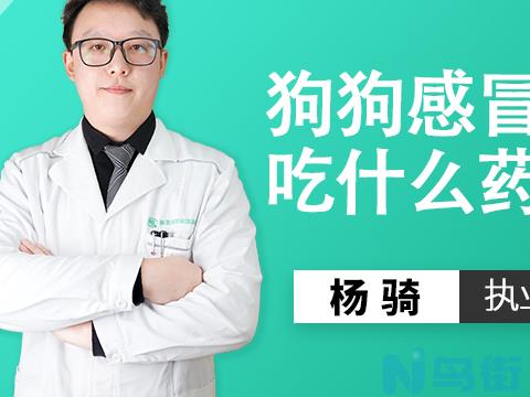 狗感冒咳得吃什么药好打什么针好？