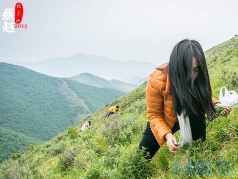 狗吃韭菜中毒怎么解救？