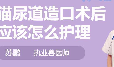 猫尿道造口伤口愈合需要多长时间？