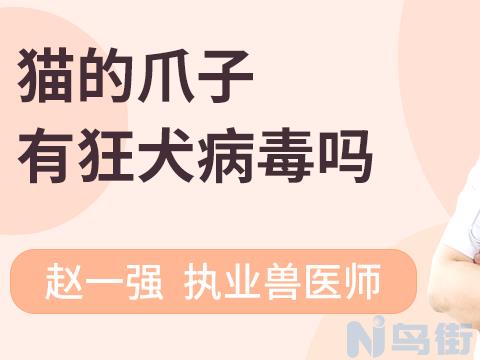 一个月的小奶狗会有狂犬病吗？