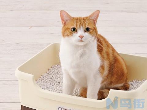 猫咪呆在猫砂盆里不出来？