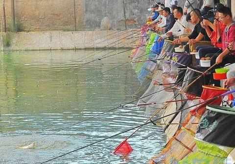 冬季大棚钓鲤鱼在什么位置