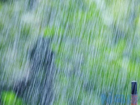 秋季连续阴雨天鱼怎么钓？